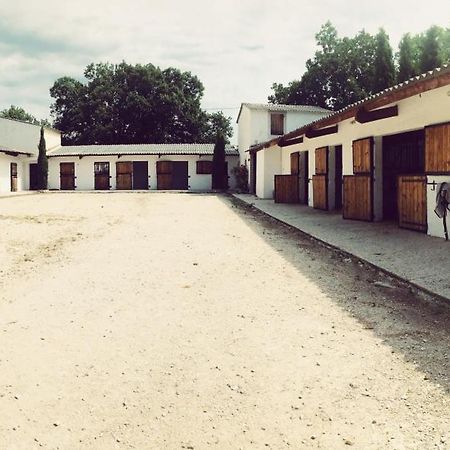 Maison Au Milieu Des Chevaux LʼIsle-sur-la-Sorgue Exteriér fotografie