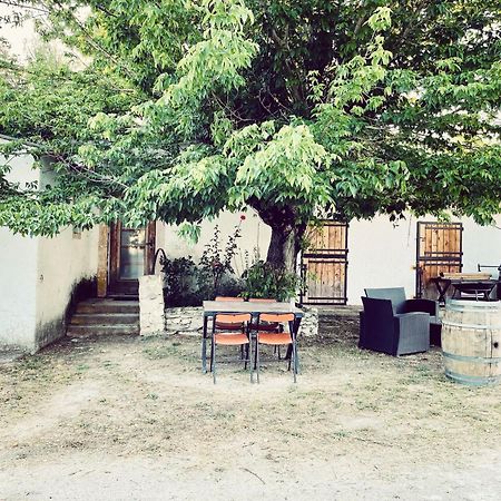 Maison Au Milieu Des Chevaux LʼIsle-sur-la-Sorgue Exteriér fotografie
